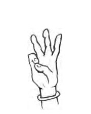 Hamsasya Mudra hand position