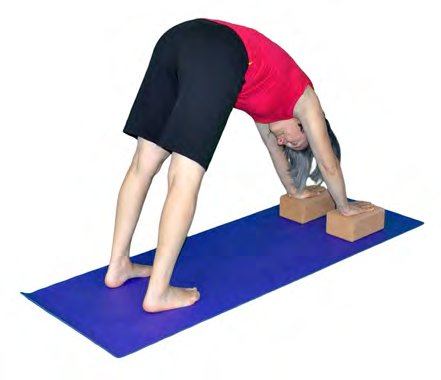 Adho Mukha Svanasana, Downward Facing Dog