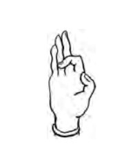 Mrgasirsa Mudra hand position