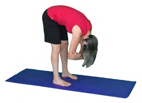 Uttanasana, Standing Forward Fold