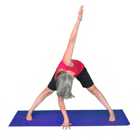 Parivrtta Prasarita Podattonasana, Wide-Legged Forward Bend