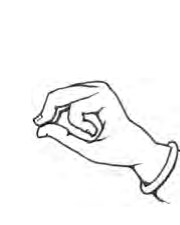 Nagabandha Mudra hand position
