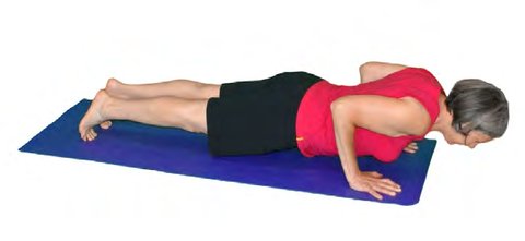 Chaturanga Dandasana, Four Limb Staff Pose