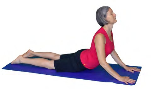 Urdhva Mukha Svanasana, Upward Facing Dog