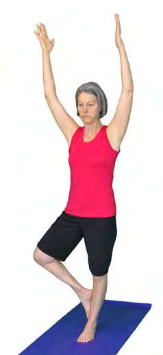 Vrkshasana, Tree