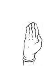 Samkha Mudra hand position