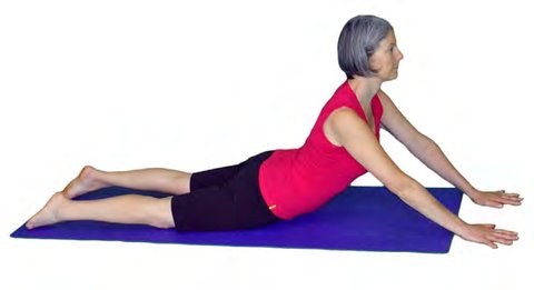 Bhujangasana, Cobra Pose