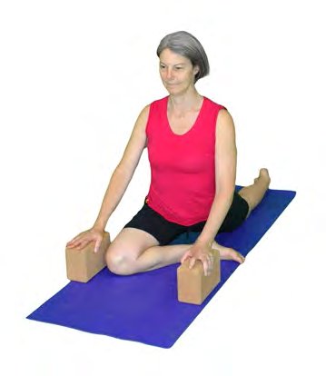 Kapotasana, Pigeon