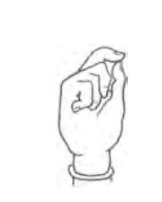 Shakti Mudra hand position