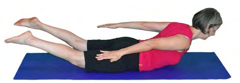 Salambhasa, Locust Pose