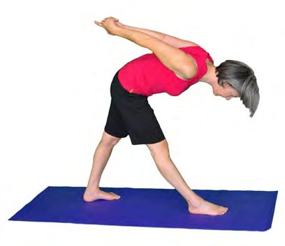 Parsvottanasana, Intense Side Stretch