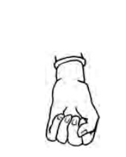 Kapitta Mudra hand position