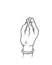 Sarpasirsa Mudra hand position