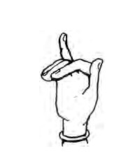 --T r i p a t a k a Mudra hand position
