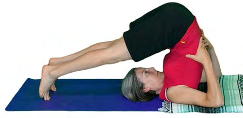 Halasana, Plow