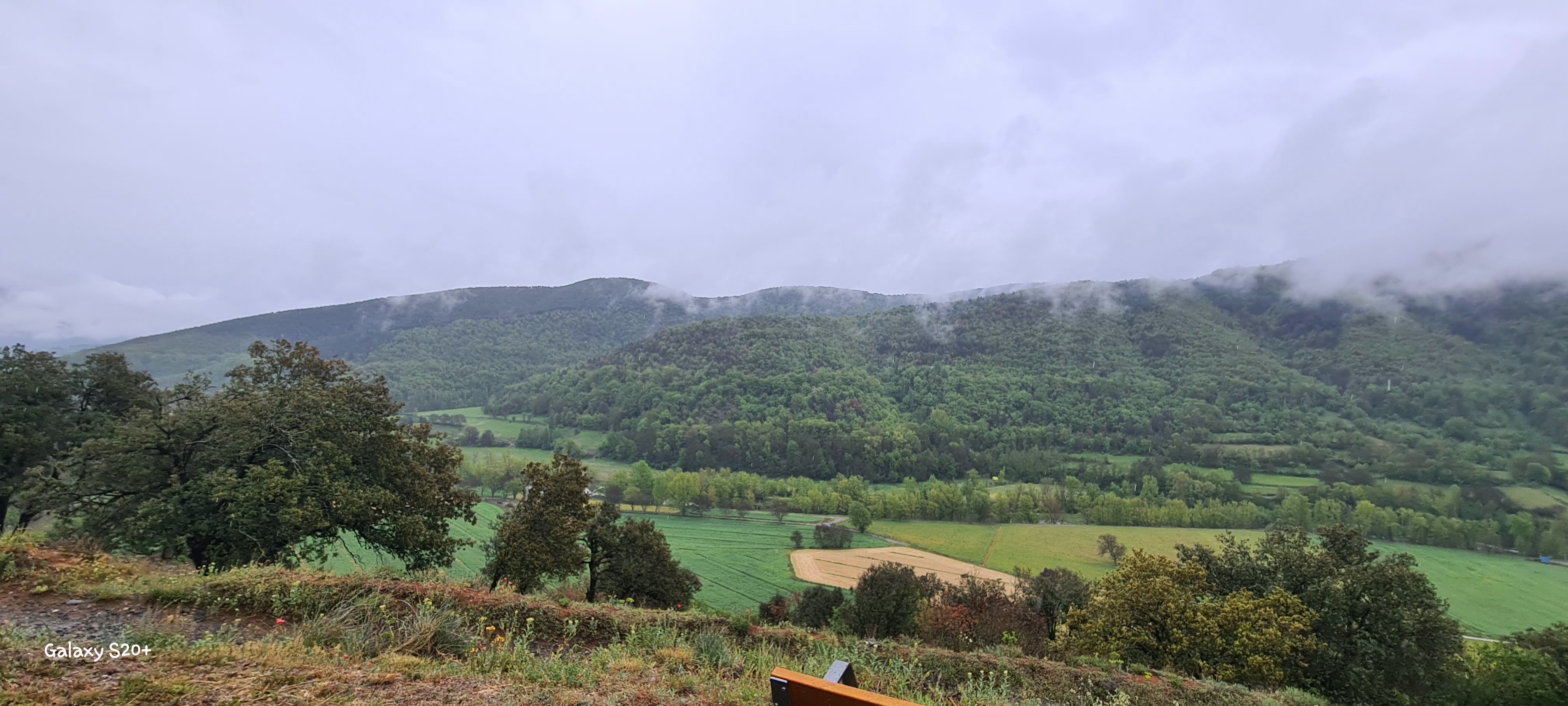 El valle entre la niebla desde un mirador