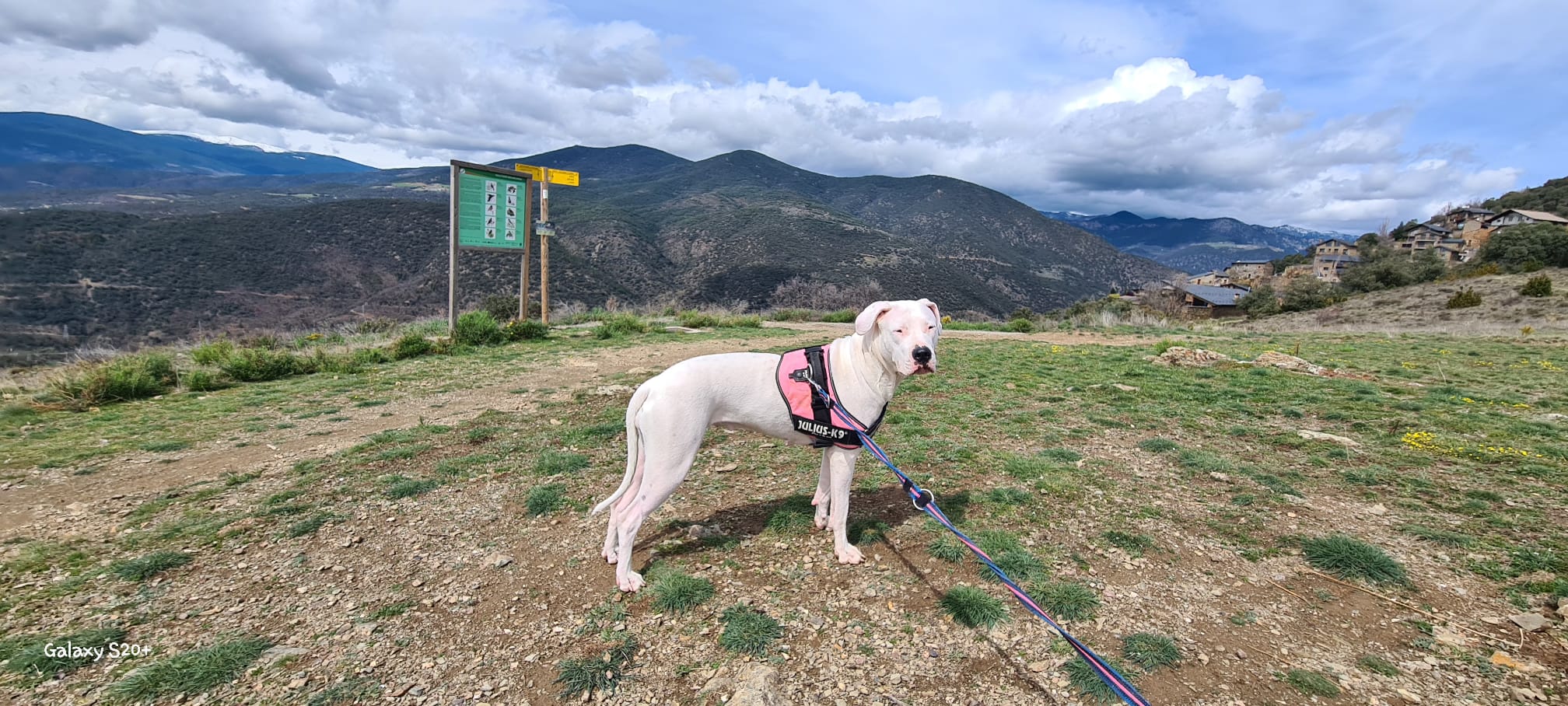 El perro al inicio del sendero, con las montañas del Alt Urgell al fondo