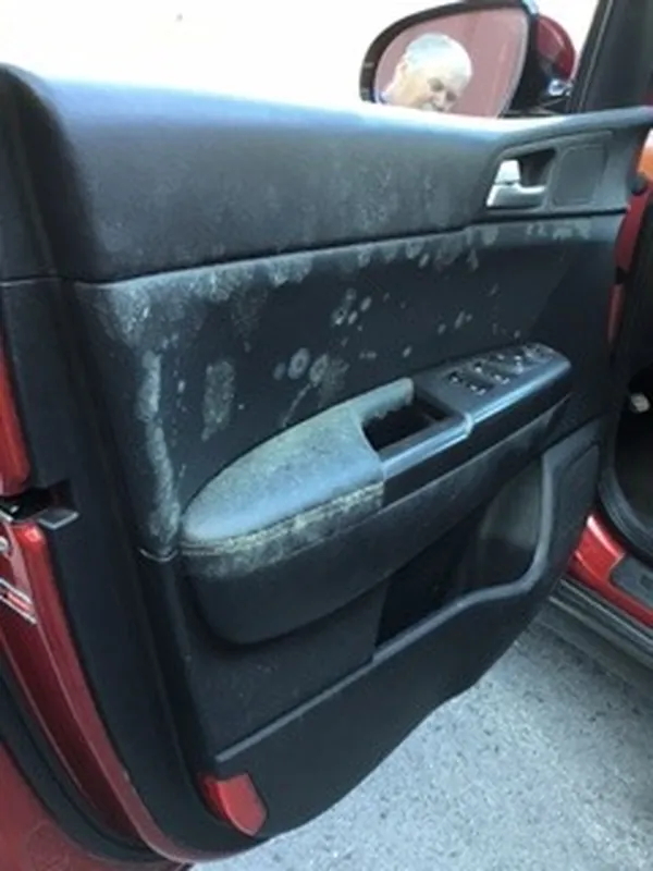 Kia Sportage door panels cleaned, before
