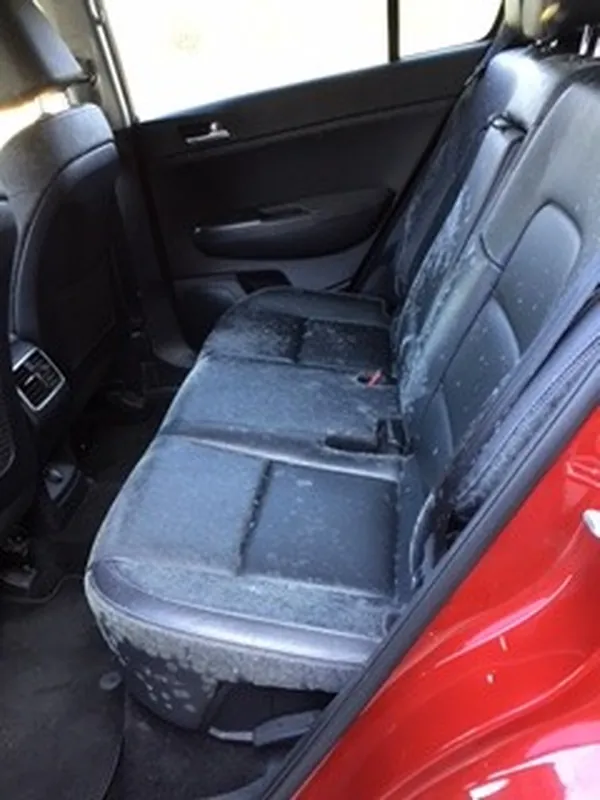 Kia Sportage rear seat mold removal, before