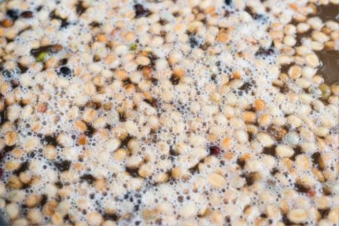 Coffee beans fermenting in water-filled concrete tanks at a wet processing station