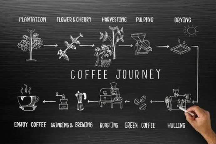 A beautiful steaming cup of coffee representing the end of the coffee bean's journey