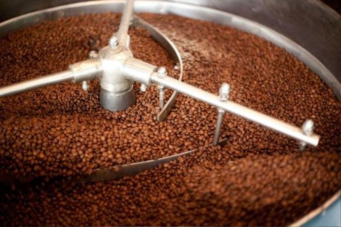 Freshly roasted dark coffee beans cooling in a spinning drum agitator