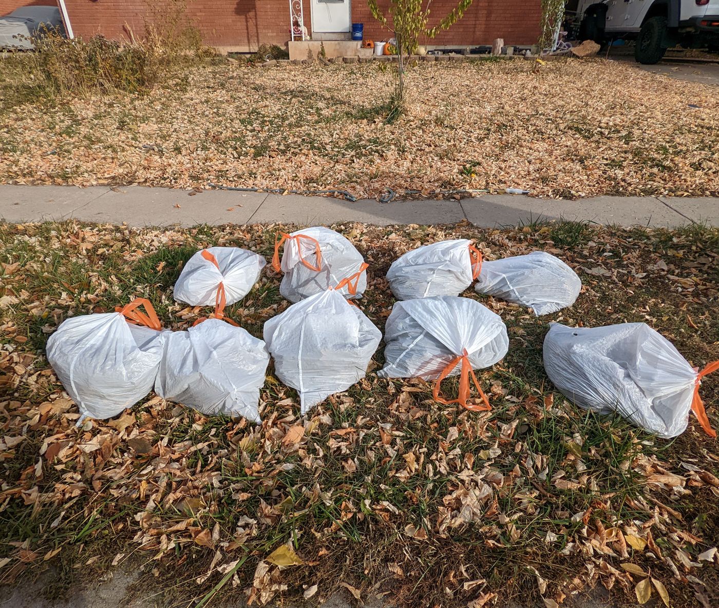 Bags of collected yard waste lined up after a service visit