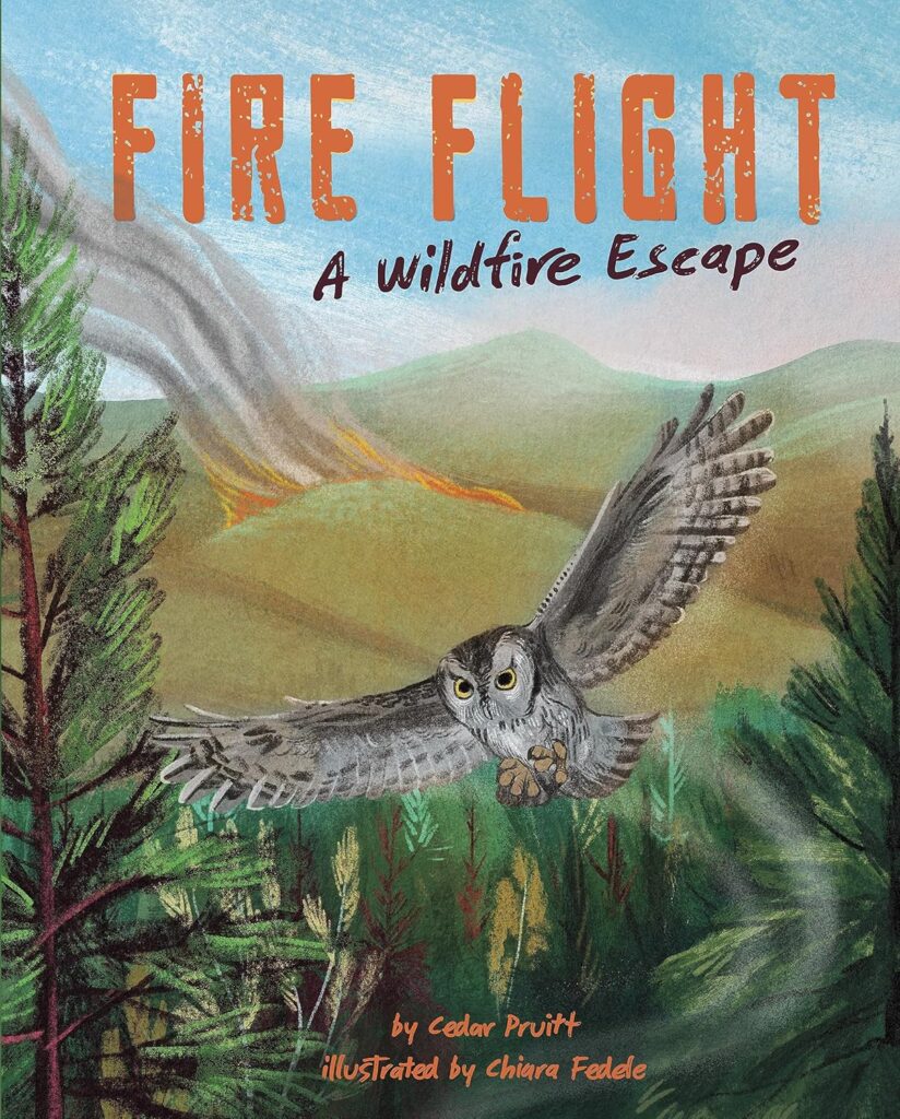A beautifully illustrated children's book telling the story of an owl that uses a helicopter to escape its burning home. Highly recommended.