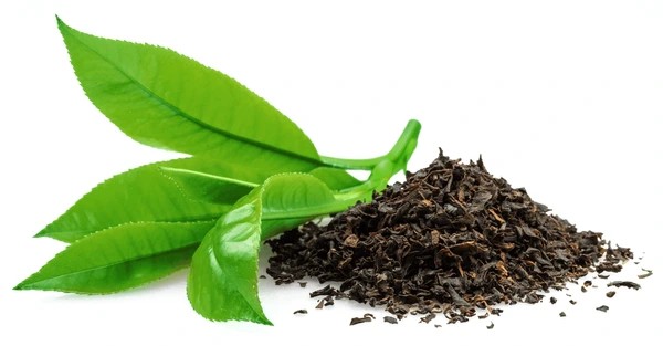 Australian Bushfire Tea