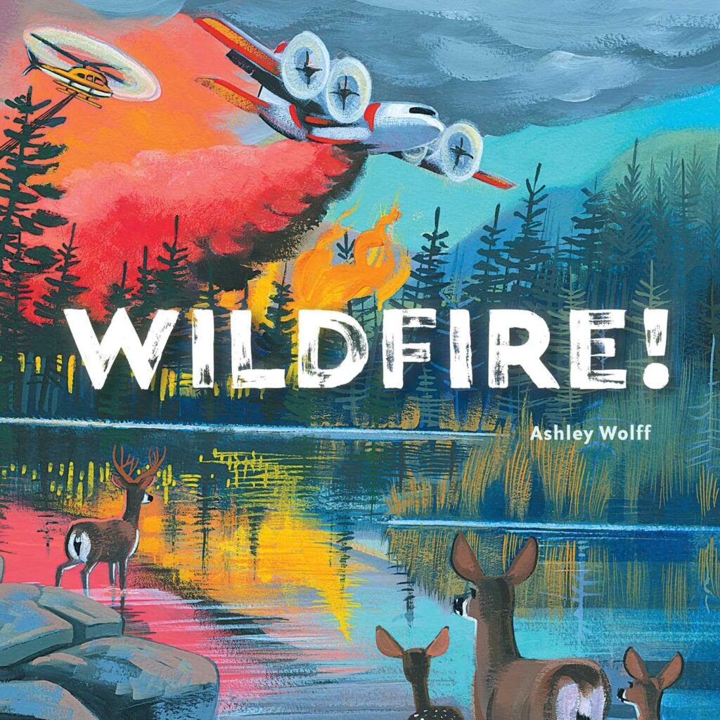 Wildfire! is a wonderful children's book explaining US wildfires, perfect for young readers interested in nature.