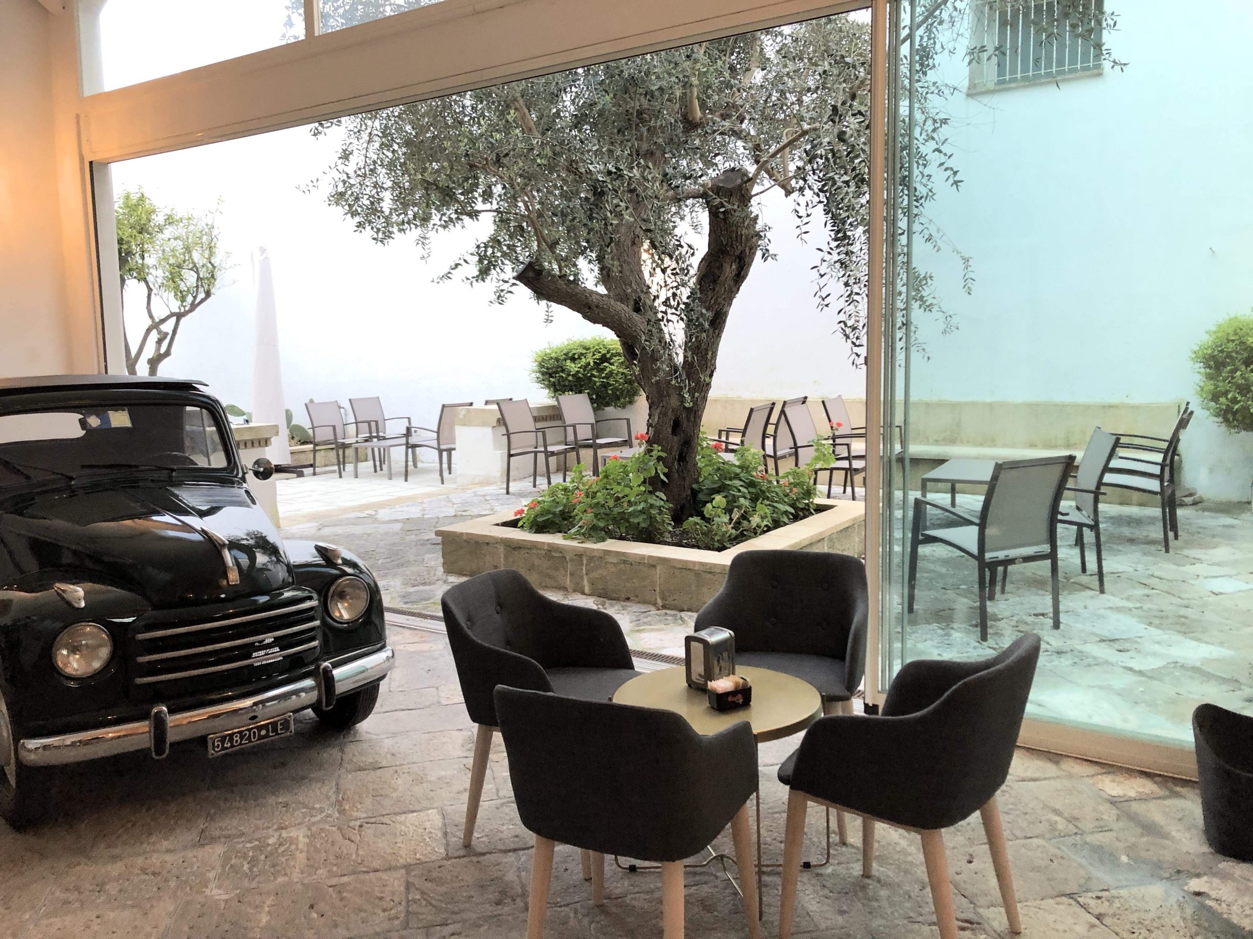 Il cortile con l’olivo secolare