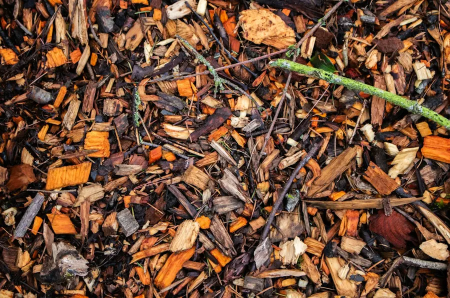 Broyat de bois raméal fragmenté, copeaux de bois