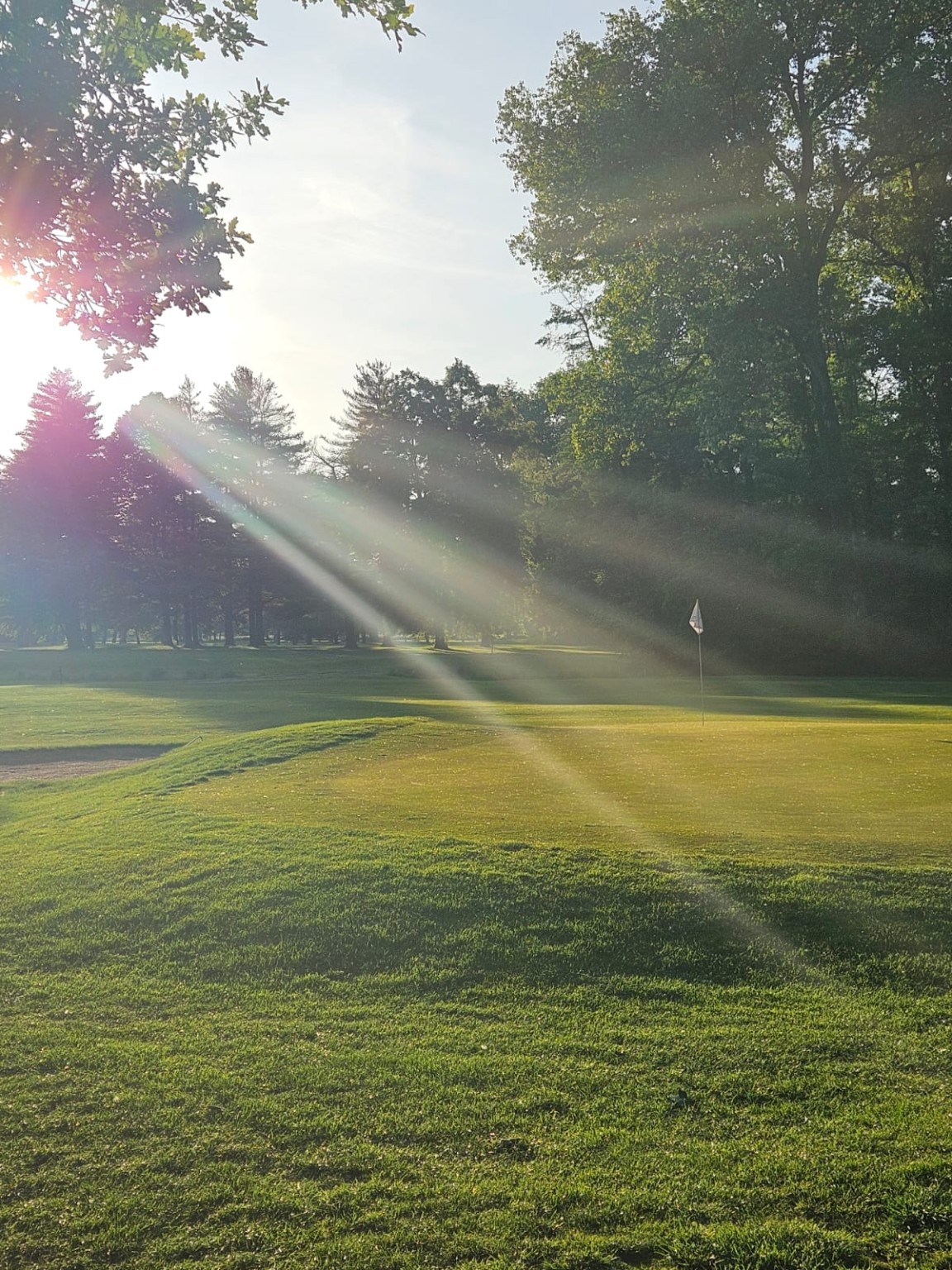 Golf Club Poděbrady, ranní světlo a mlha nad fairwayem