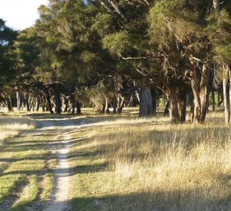 A tree-lined paddock and gravel driveway at the Unity 2027 site