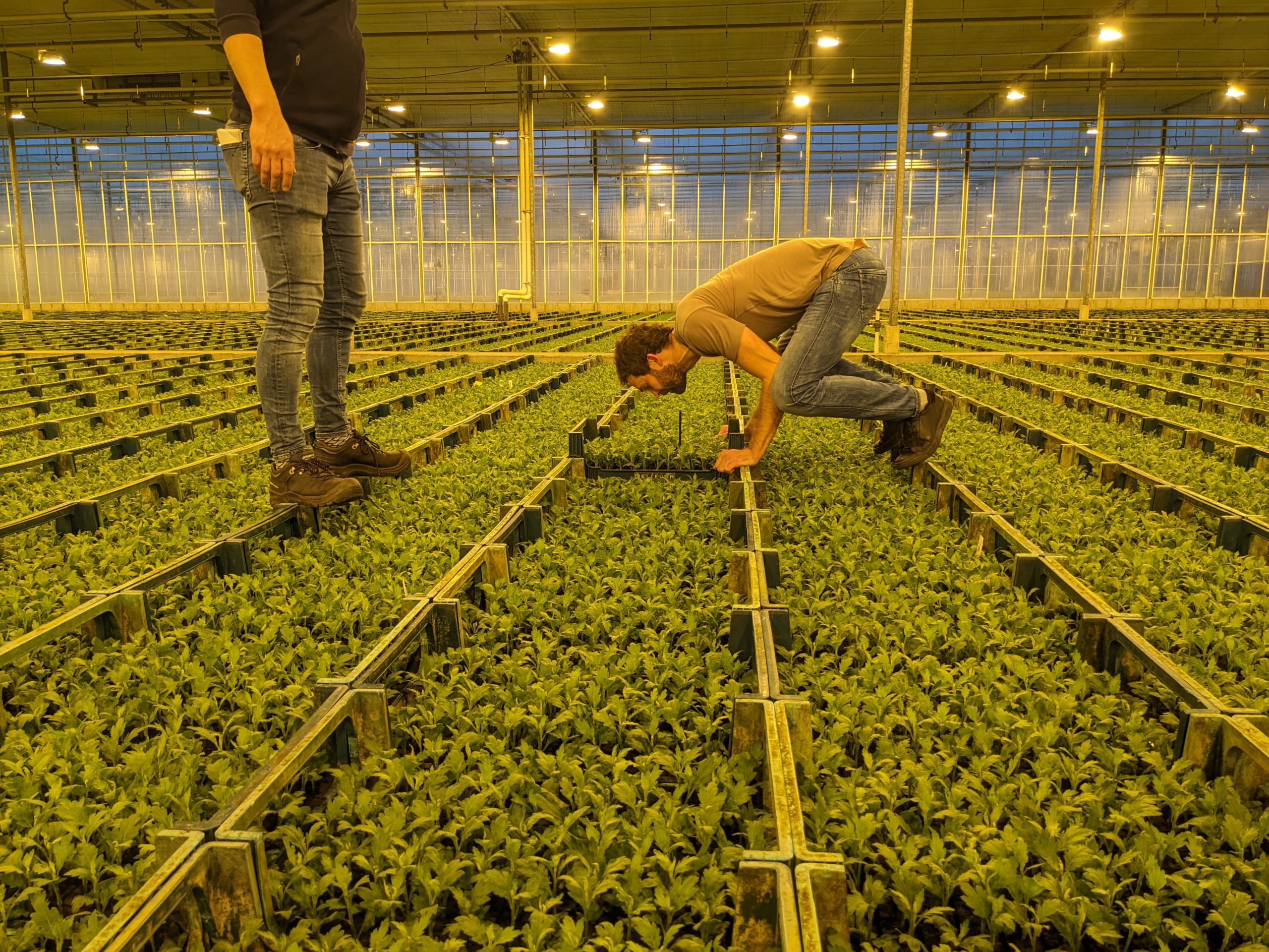 A Tentacles IoT substrate sensor being inspected at Beekenkamp