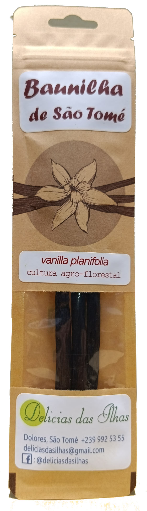 Baunilha (vanilla planifolia)