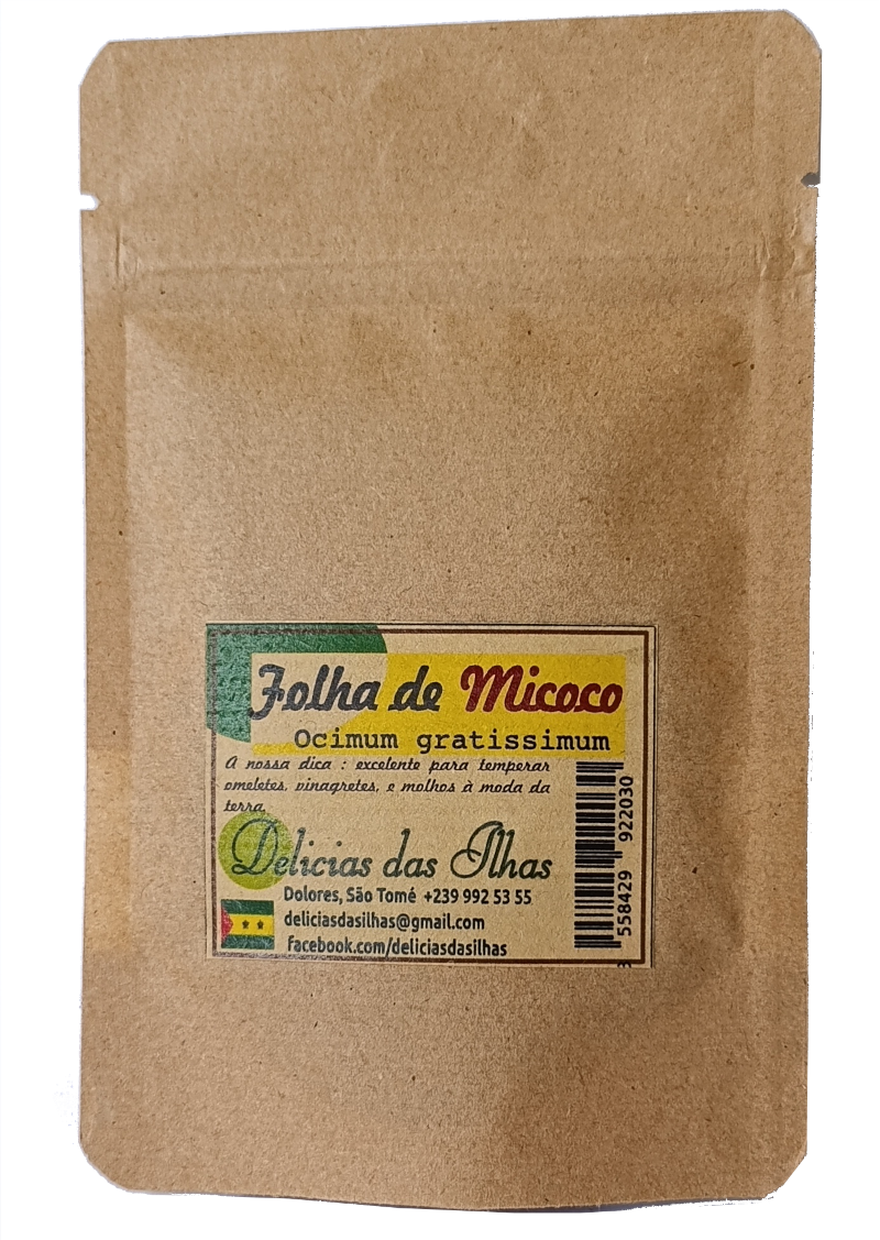 Folha de Micoco (ocimum gratissimum)