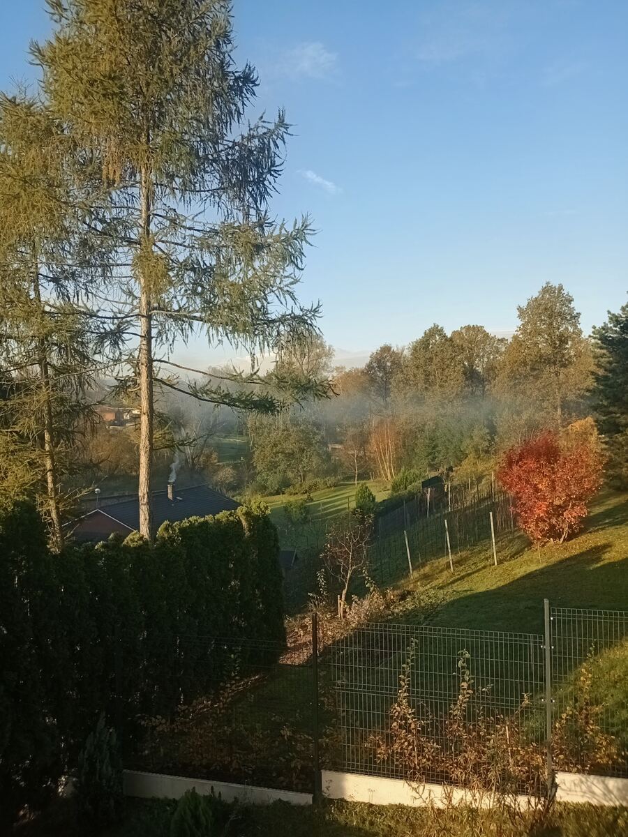 Ložnice s výhledem do přírody