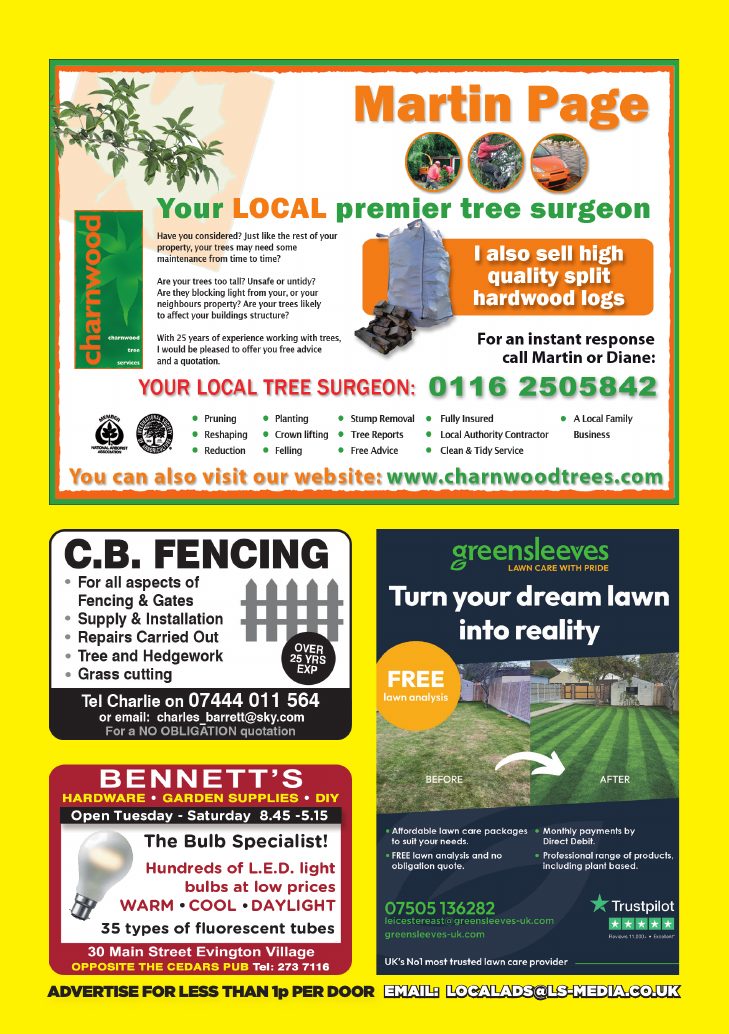 Current advert for Martin Page Tree Surgery