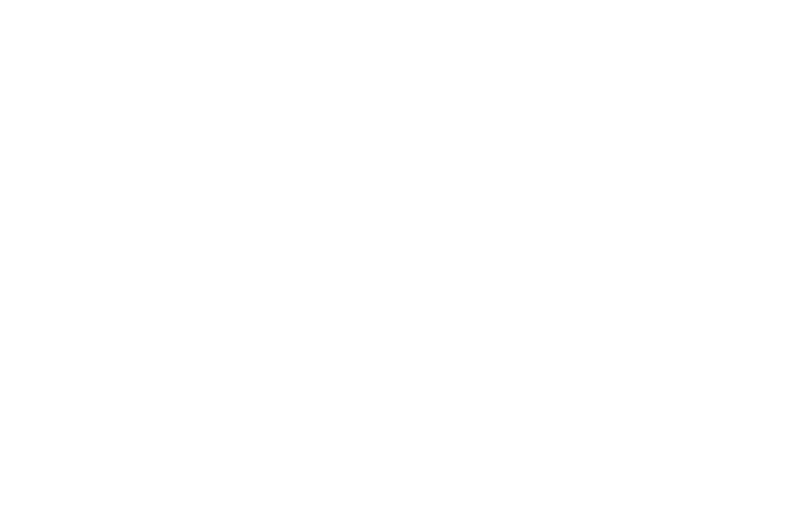 Česko-německý fond budoucnosti