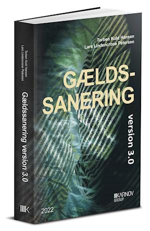 Forside: Gældssanering version 3.0