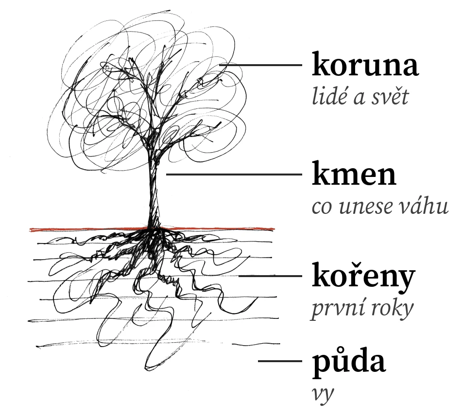 Perokresba stromu s popisky: koruna (lidé a svět), kmen (co unese váhu), kořeny (první roky), půda (vy)
