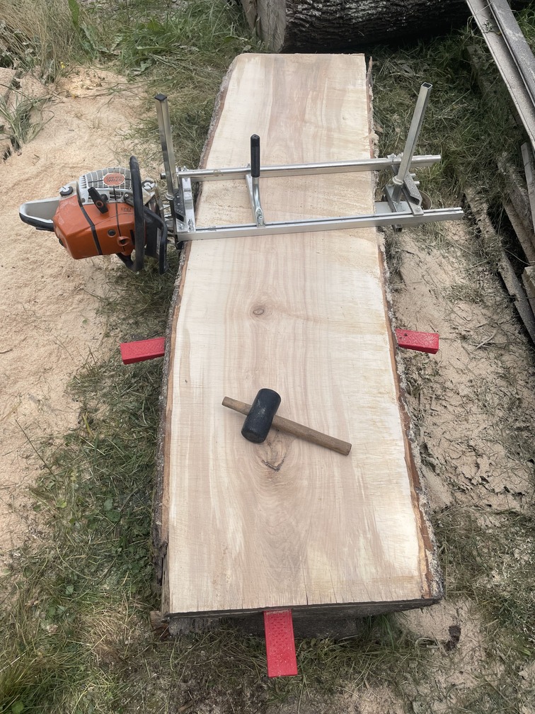 Javor - řezání javoru na Šumavě