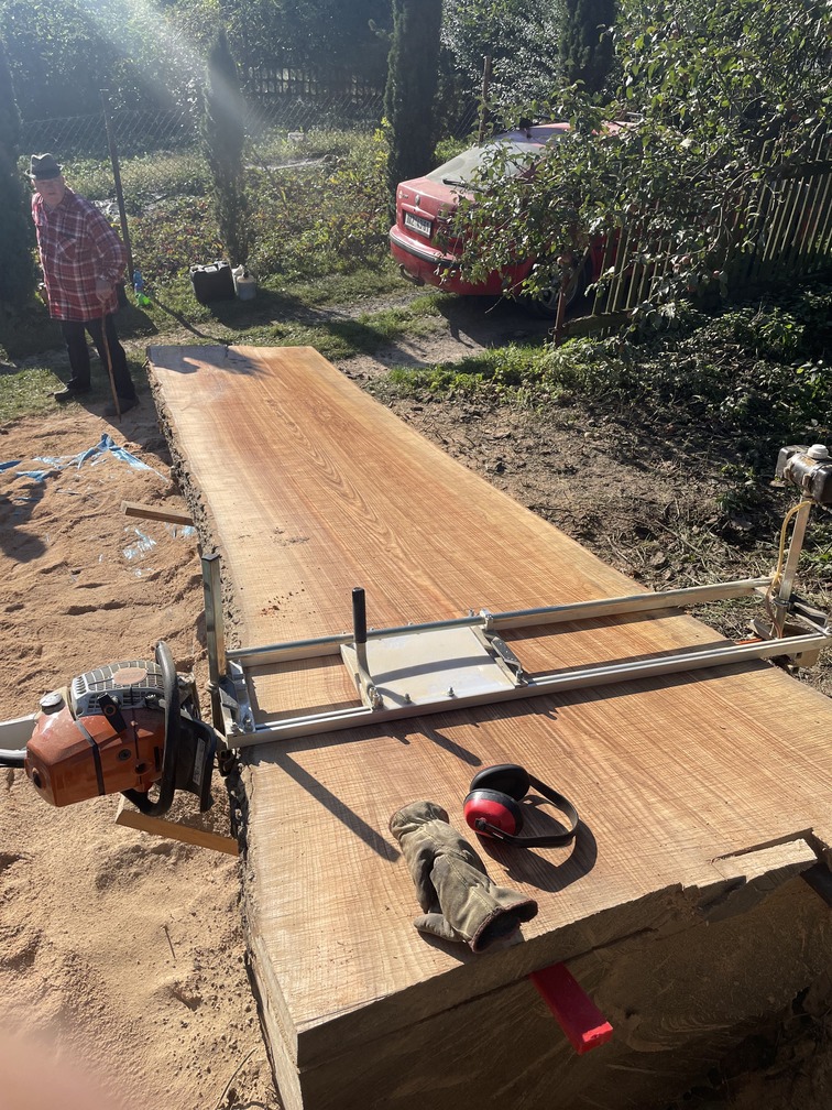 Památný jasan - 170 letý jasan spálený bleskem