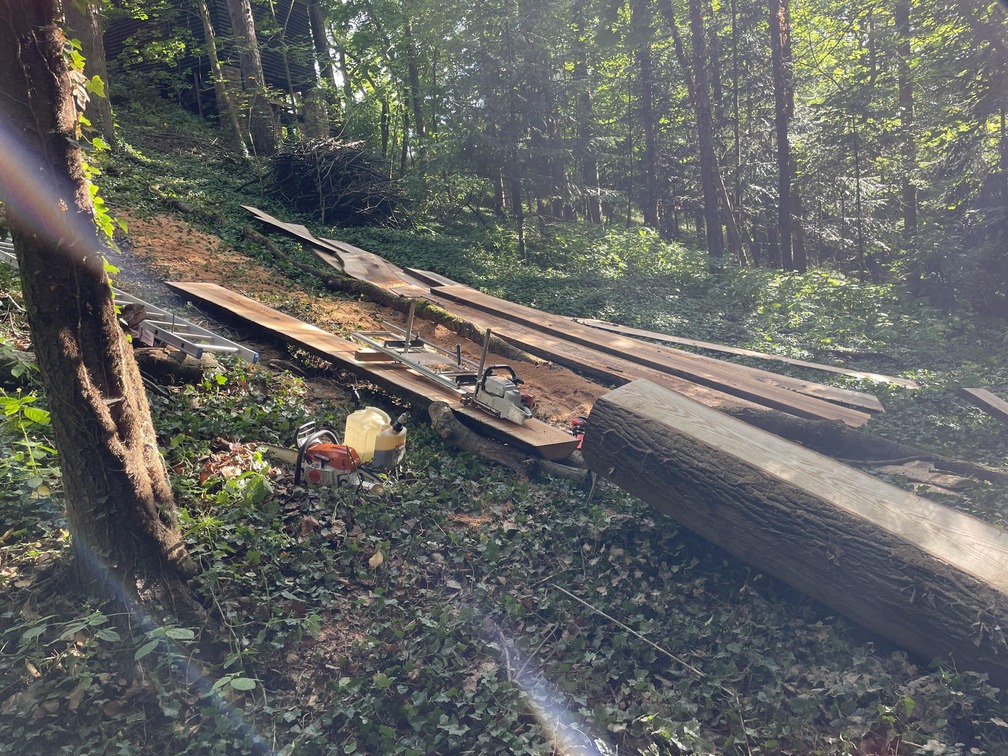 Řezání jasanů ve stráni - ukázka práce v příkré stráni