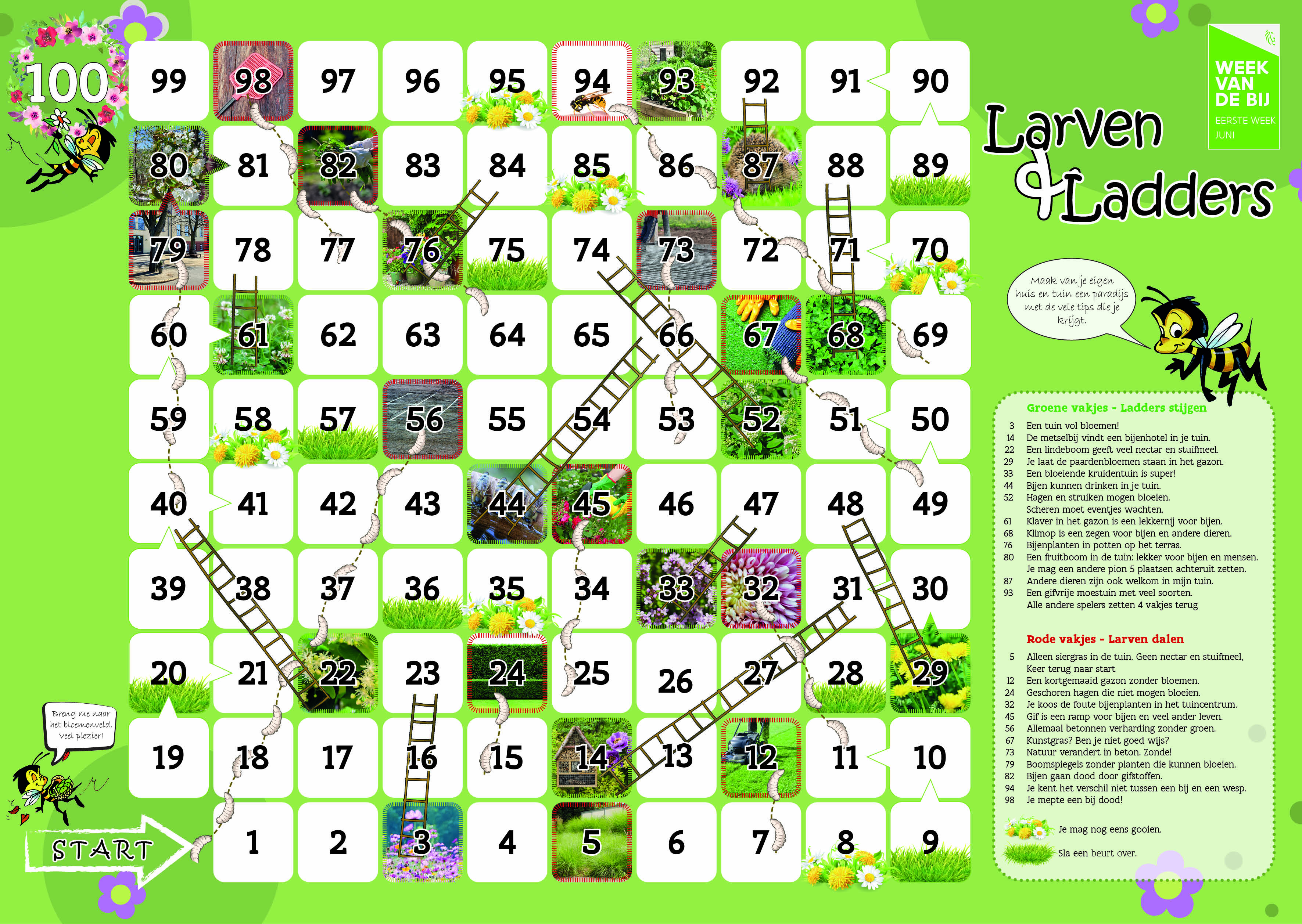 Ladders en Larven – bordspel voor de bijentuin