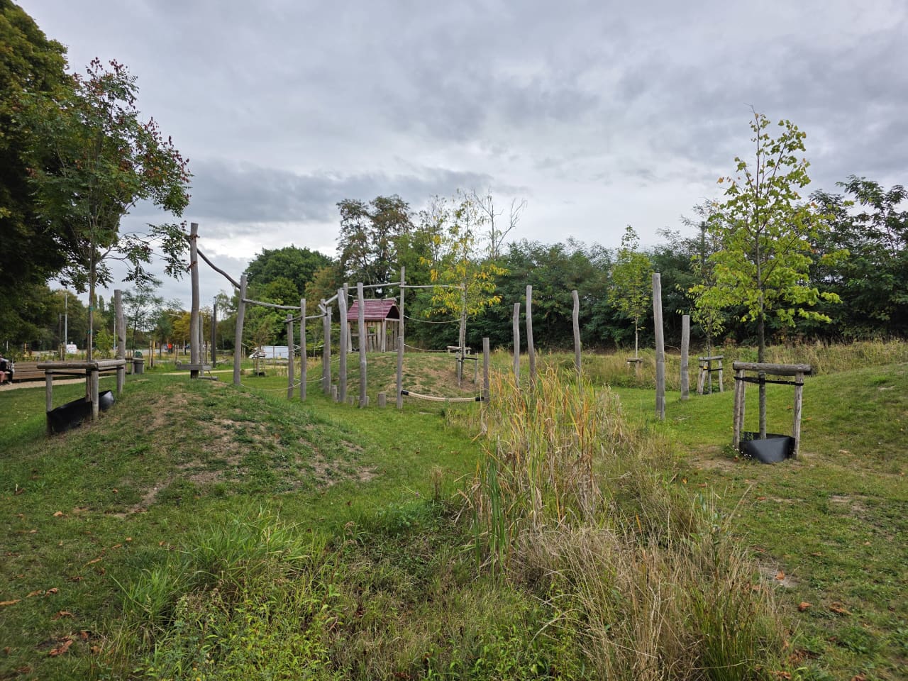 Bijenvriendelijk groen in Mechelen