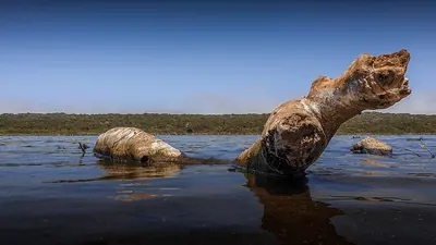 Lago di Sidi Boughaba, 6 giugno 2021.