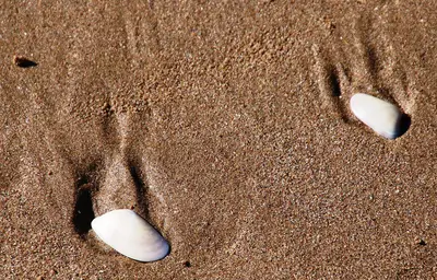 La plage d’Agadir, 28 décembre 2018.