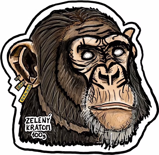 Referenční obal 4 - kreativní designové balení od LetsCreate